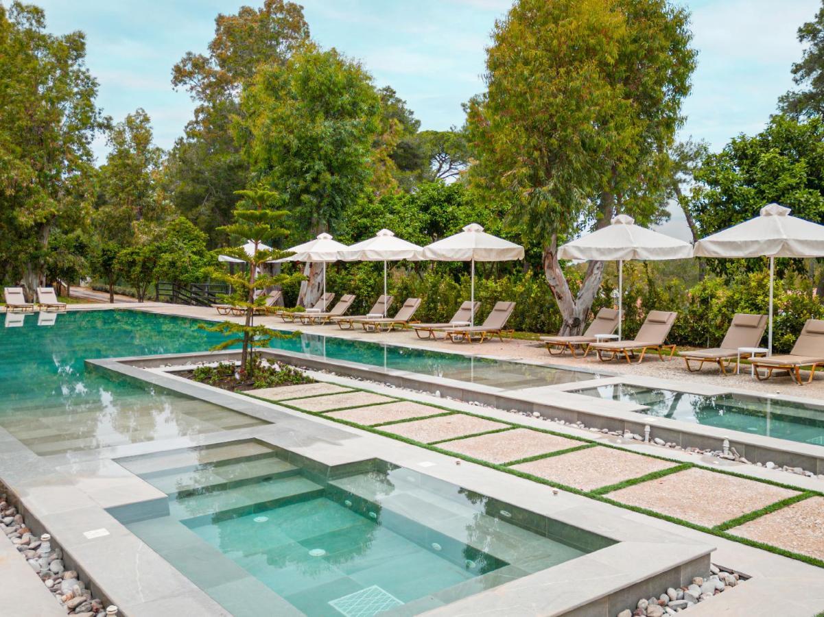 לוטרה קיליניס Grecotel Luxme Palms At Riviera Olympia & Aqua Park מראה חיצוני תמונה